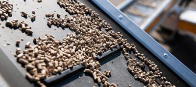 Fabrication des granulés de bois